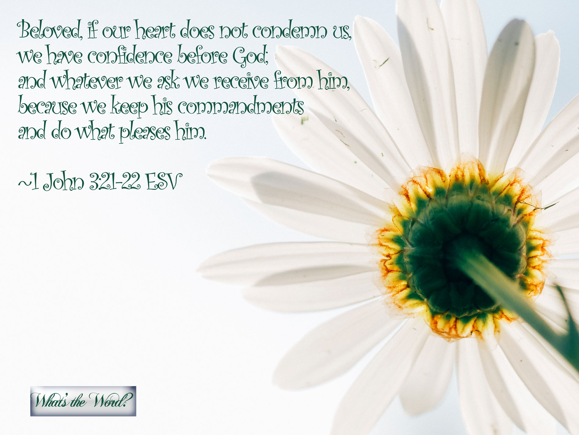 1 John 3:21-22